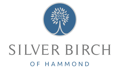 Silver Birch of Hammond