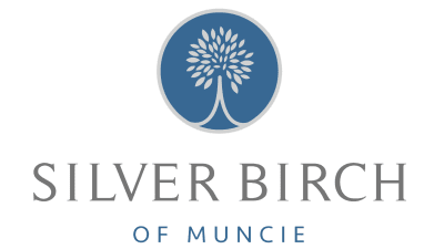 Silver Birch of Muncie